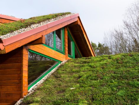 zelená střecha